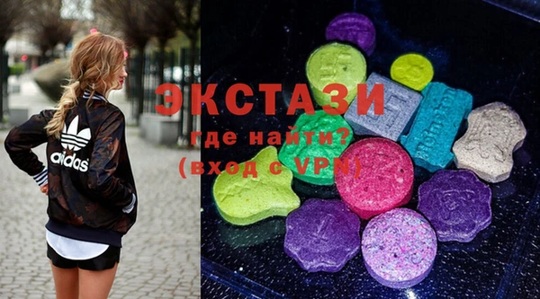 индика Сатка